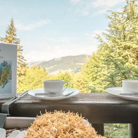 Du Golf Du Mont D'arbois - Happy Apartment